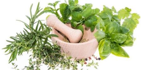 Kenali Obat Stroke Herbal Efektif dan Cara Membuatnya